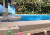 SeaWorld Visitor Plays Peekaboo With Adorable Dolphins