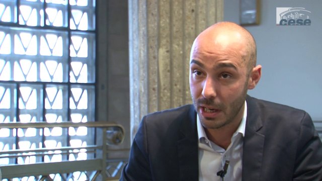 Questions à Renaud BETTIN (GERES) et Bernard PINAUD (CCFD-Terre solidaire) - cese