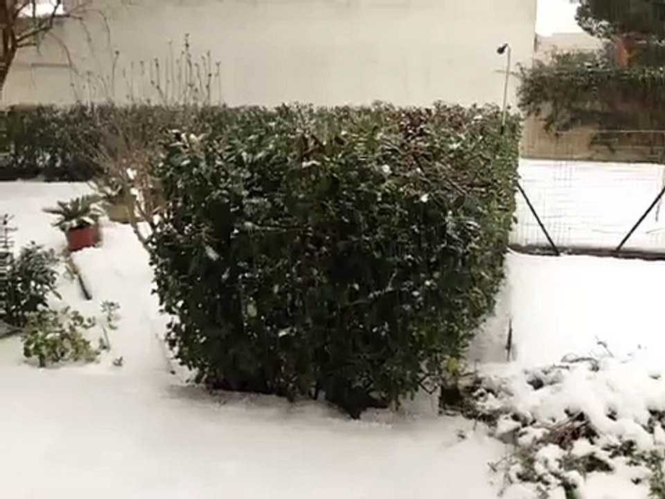 MeteoReporter Palese 31/12/2014