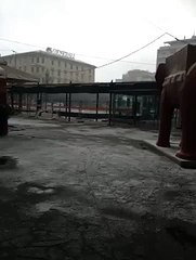 MeteoReporter Pescara 30/12/2014