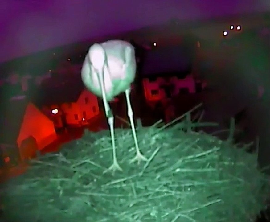 08.01.2015  combat contre le vent / Kampf gegen den Wind