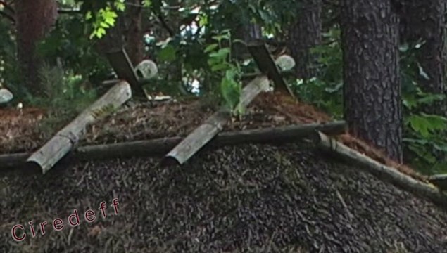 2/13 Tourisme en Lettonie Visitez le musée ethnographique Tourism in Latvia Visit the ethnographical museum Tourismus in Lettland Besuchen Sie die ethnographische Museum Turystyka na Łotwie Odwiedź muzeum etnograficzne