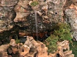 Palio dei presepi, i vincitori premiati a Palazzo Moncada