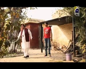 Ladoon Mein Palli Episode 36 Full High Quality - 8th January 2015