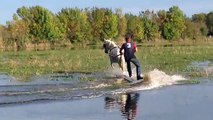 Camarguan surf - pulled by horses in the paddy fields!