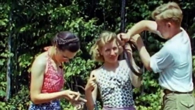 All Watched Over By Machines of Loving Grace 2/3 - The Use and Abuse of Vegetational Concepts (2011)