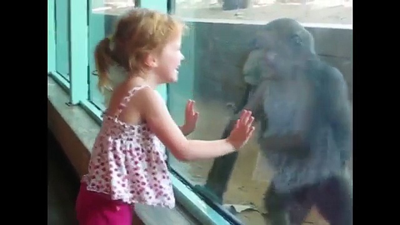 Kids At The Zoo