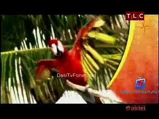 Get Out 9th January 2015 Video Watch Online pt1