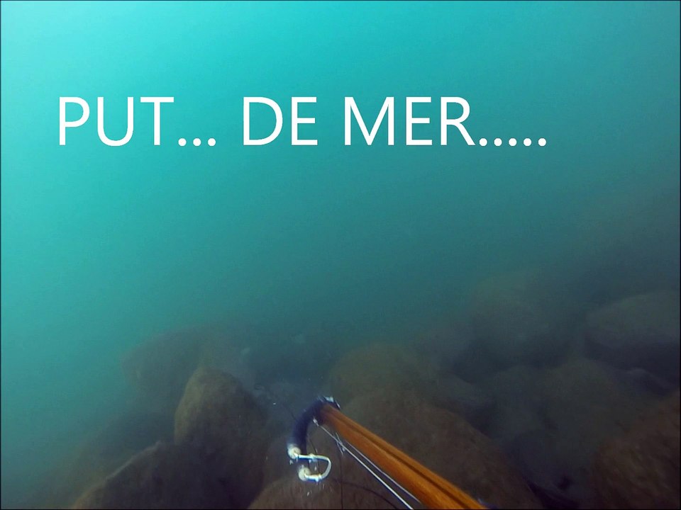loup de janvier 2