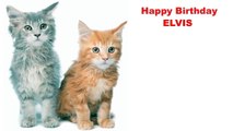 Elvis Cats Gatos - Happy Birthday