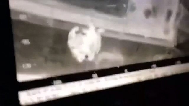 Canale di Sicilia - Immigrazione Aeronautica militare in soccorso alla nave Ezadeen (01.01.15)