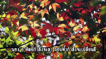 อย่าลืมฉัน - วงชาตรี