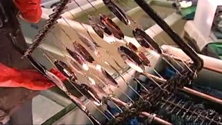 How Its Made - 243  Fishing Lures