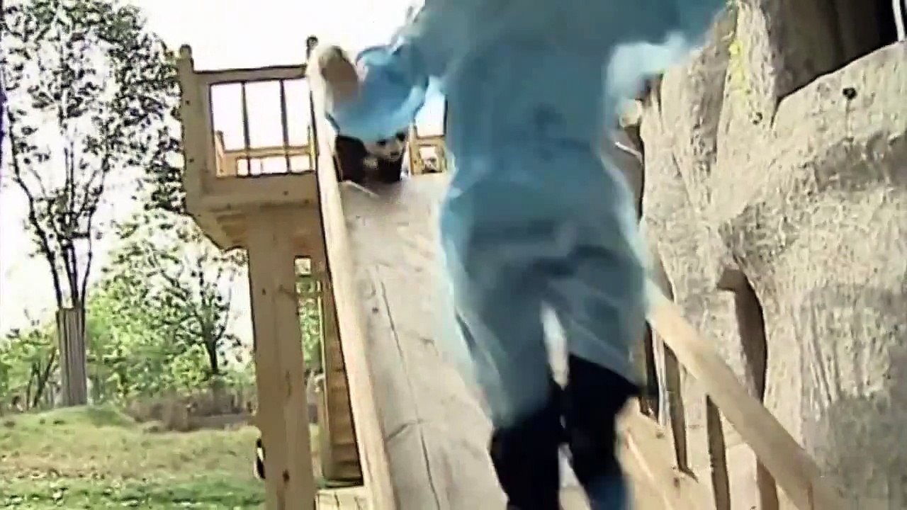 avez-vous déjà vu des pandas faire du tobggan