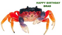 Brad Animals   Animales - Happy Birthday