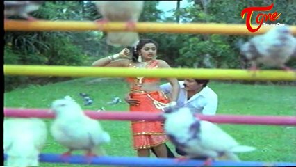 Raktha Sindhuram Movie Songs || Gummallo || Chiranjeevi || Radha