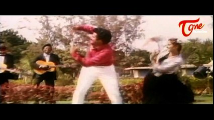 Dharma Kshetram Movie Songs || Pelliki Mundu Okkasari || Balakrishna || Divya Bharti