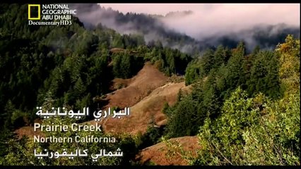 ‫وثائقي - الموت أو الحياة - مطارد كاليفورنيا HD