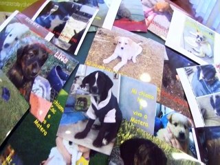 "IL BRANCO" E GLI AMICI ANIMALI MATERA 8-1-2015