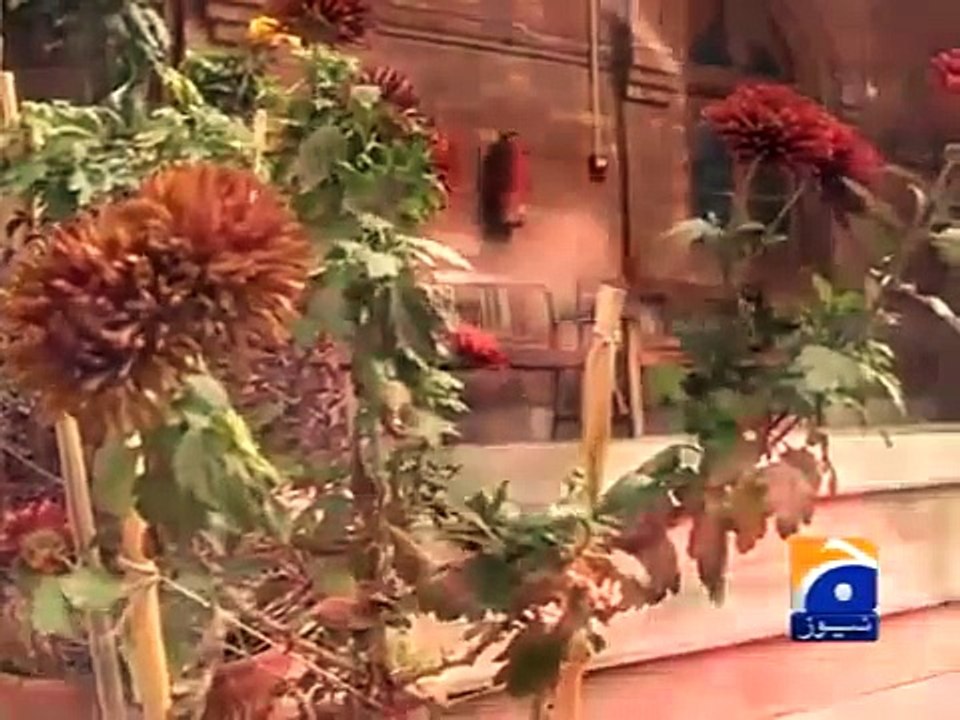 Geo News Headlines 9 January 2015_ Stone Hearted Parents Refuse To Accept Their