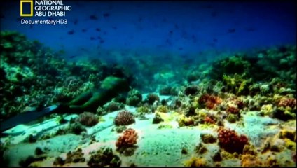 ‫وثائقي - أعماق البحار مع بوب بالارد- حطام الأعماق HD‬‎