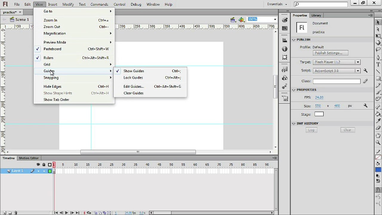 03. Using Guides and Rulers-adone flash