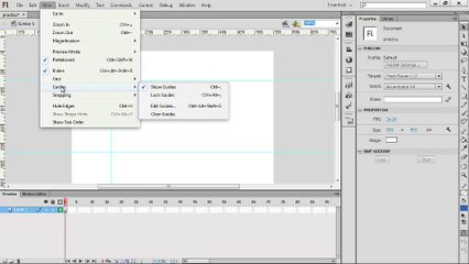 03. Using Guides and Rulers-adone flash