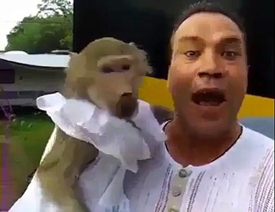 Monkey Funny -Fayyaz Shah