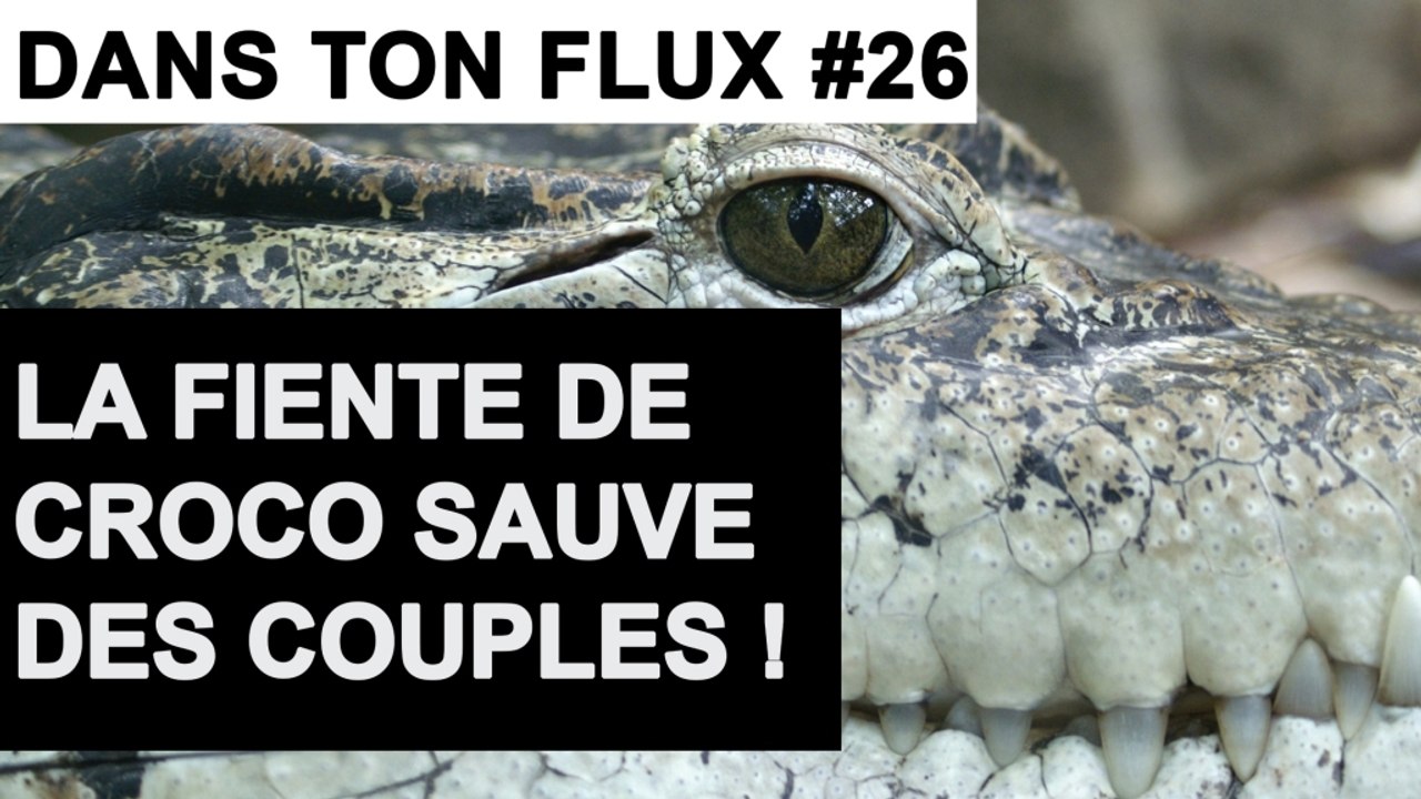 La fiente de croco sauve des couples #DansTonFlux 26