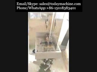 2014-most-popular-Want-popsicle-packaging-machines