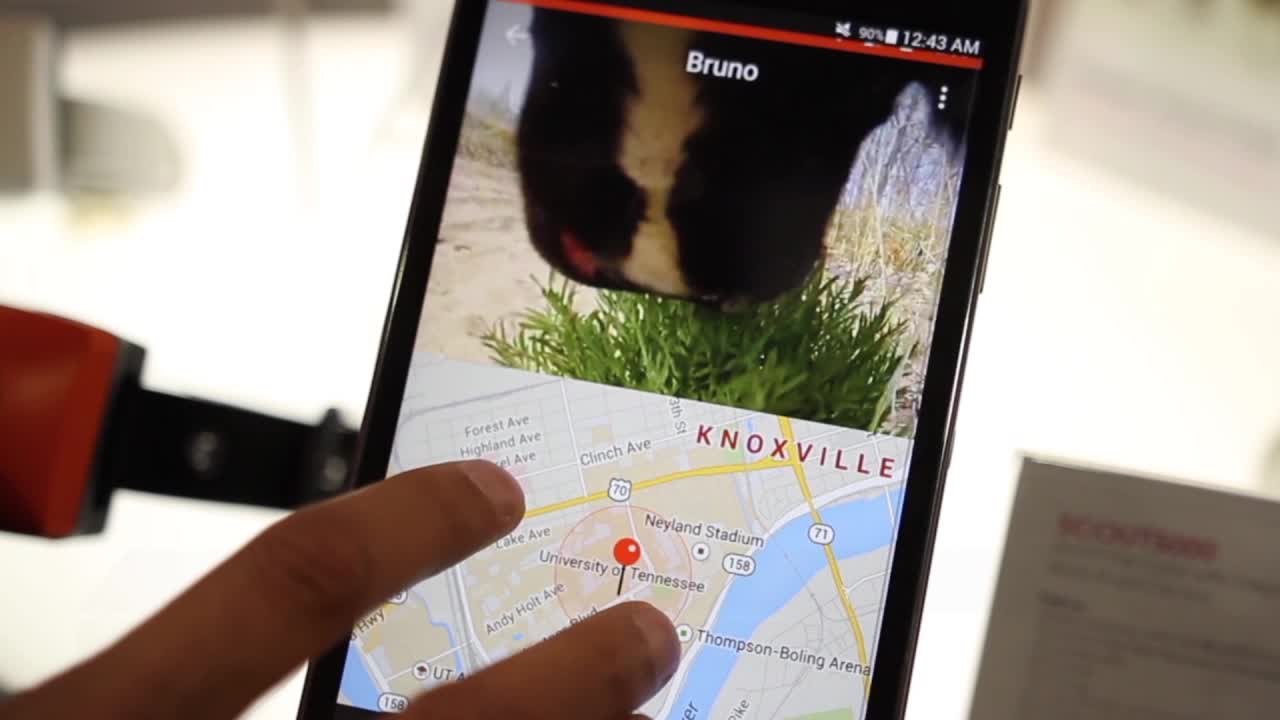 CES 2015: MOTOROLA'S CONNECTED DOG TRACKER LETS YOU SEE WHAT YOUR POOCH SEES
