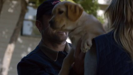 Budweiser Super Bowl XLVIII Commercial -- "Puppy Love"