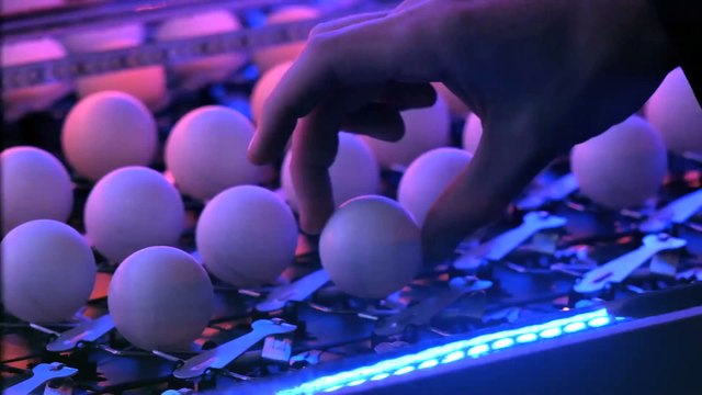 1600 balles de ping-pong posées sur 1600 pièges à souris : réaction en chaîne énorme par Pepsi max!