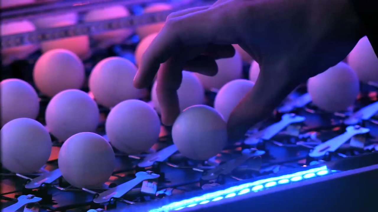 1600 balles de ping-pong posées sur 1600 pièges à souris : réaction en chaîne énorme par Pepsi max!