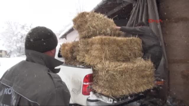 Zonguldak' Ta Yaban Hayvanları İçin Doğaya Yem Bıraktı