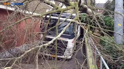 Boom valt op vrachtwagen in Oude Pekela - RTV Noord