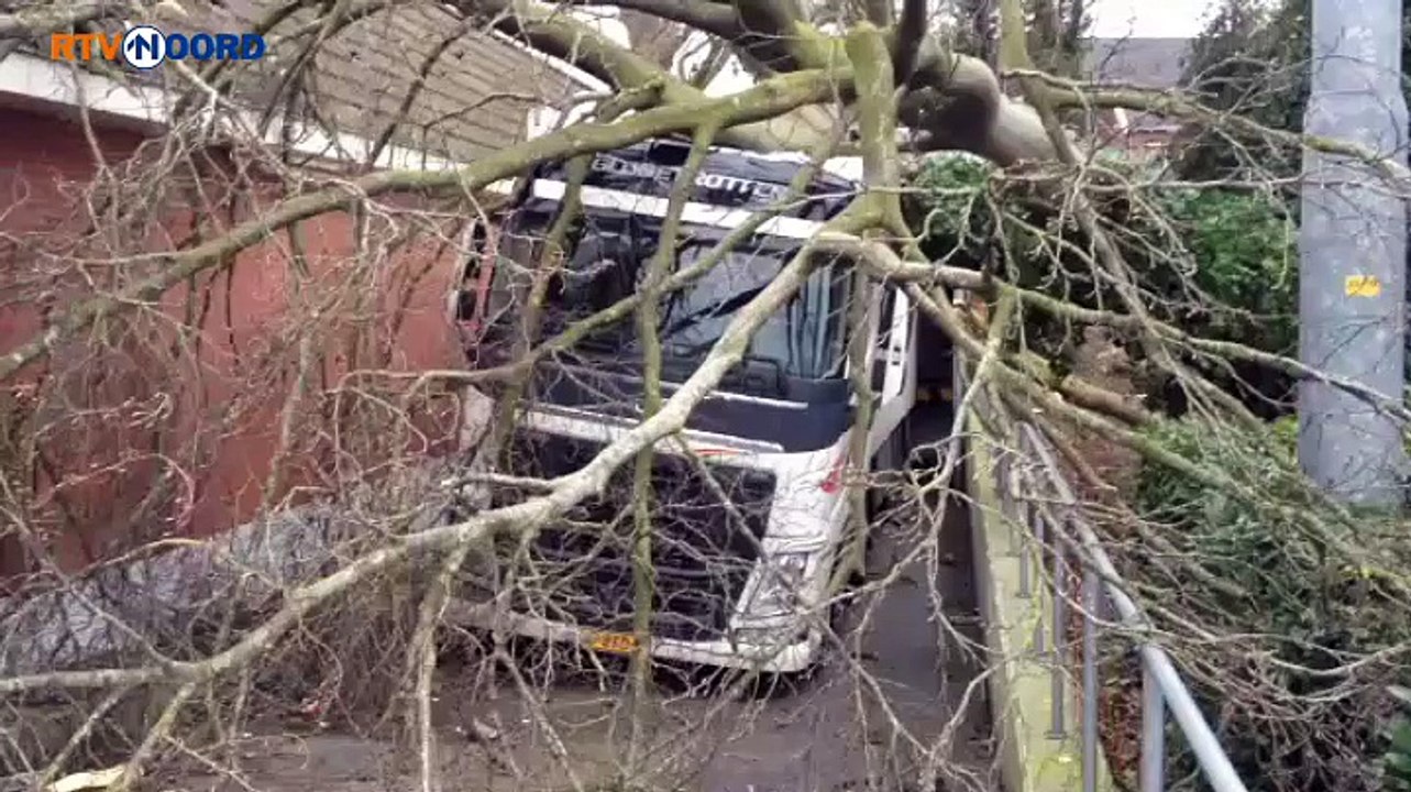 Boom valt op vrachtwagen in Oude Pekela - RTV Noord