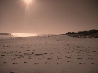 Vidéo plage nature mer - Magnifique