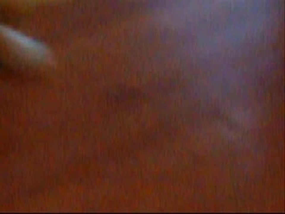 My old dog brooklin