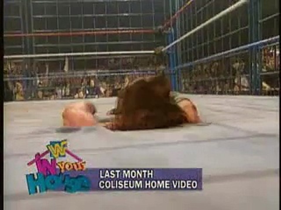Hunter Hearst Helmsley vs. The Ultimate Warrior