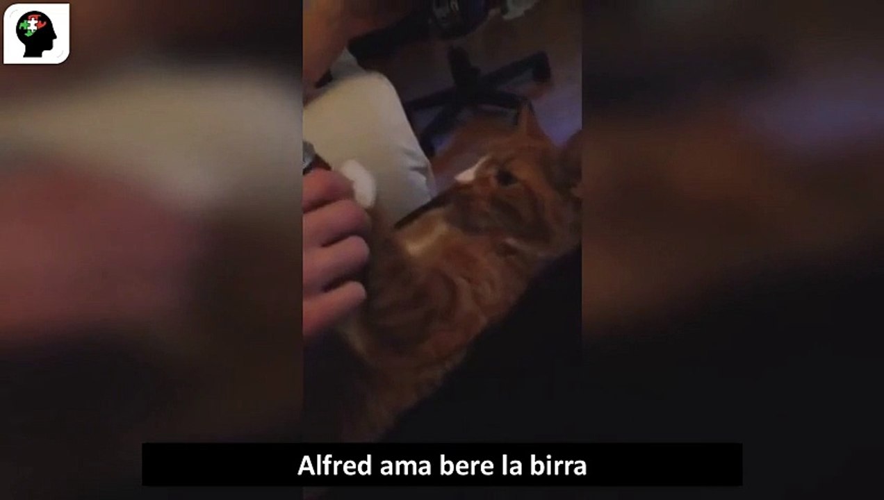 Alfred ama bere la birra