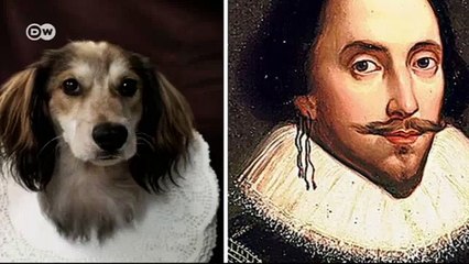 "كلاب أدبية" للمصور دان بانينو | يوروماكس