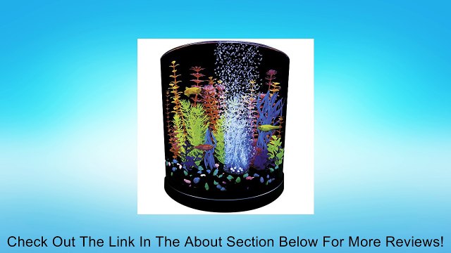 GloFish Half Moon Aquarium with Blue LED Bubbler, 3-Gallon Review