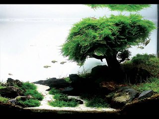 Noor ki Barish - Christian Geet and Zaboor