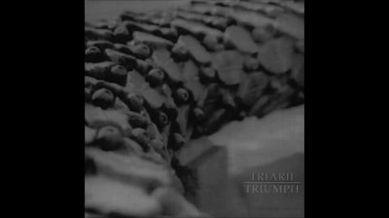 Triarii- Triumph To Triumph