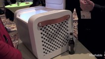 Kube Boombox-Cooler Hybrid Hands-On