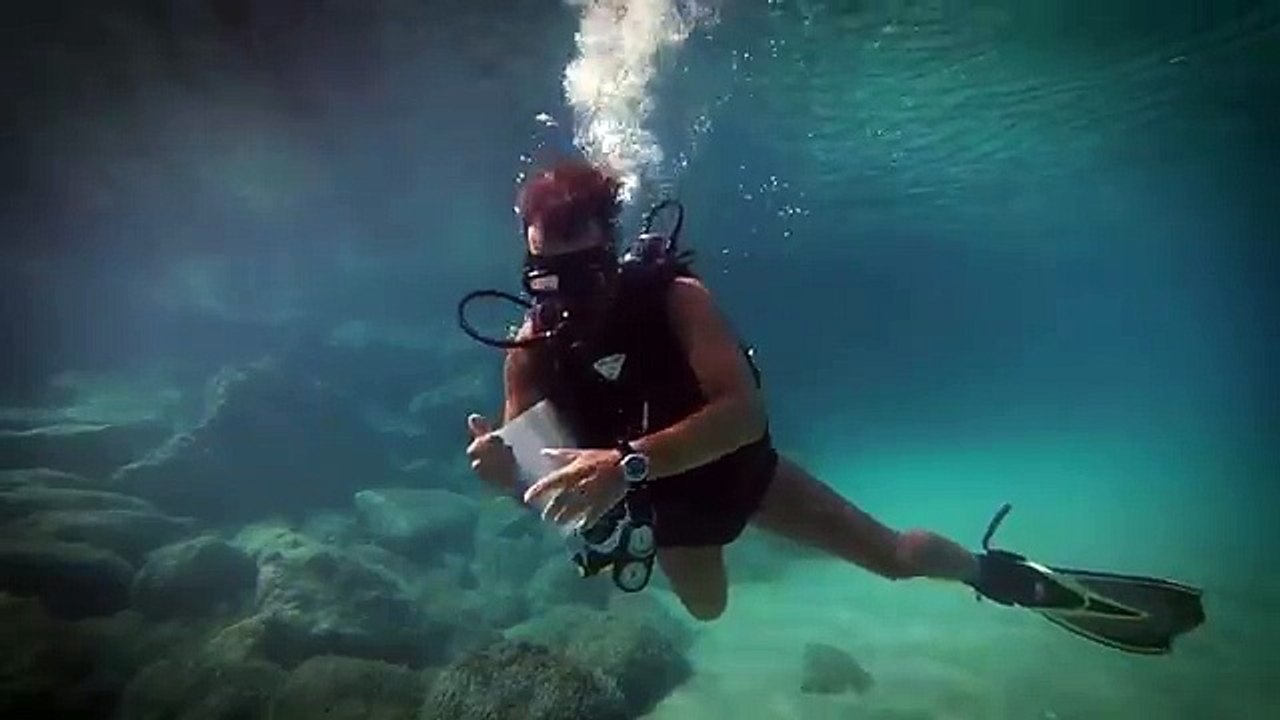 Purchase Tickets On Concert Zap!