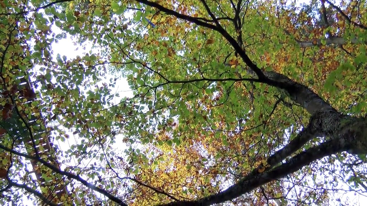 Pour des séjours hautement nature