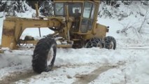 Kar Yağışının Ardından Kapanan Yollar Tekrar Ulaşıma Açılıyor