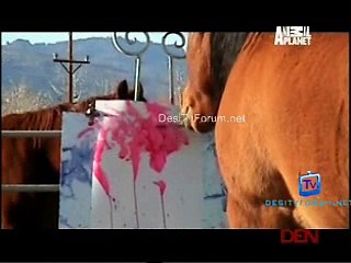 Animal Planet Most Outrageous 9th January 2015 Video Watch pt2